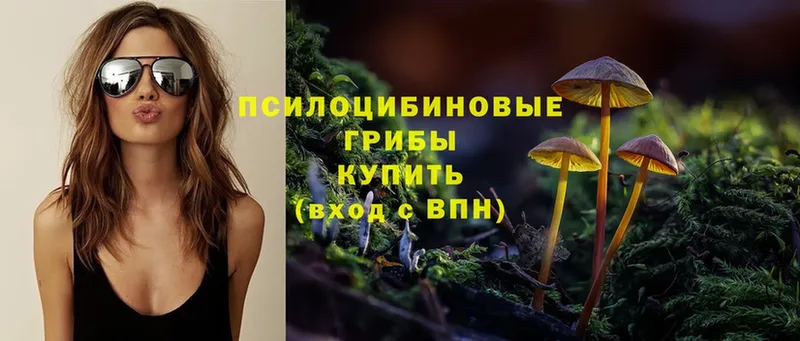 Галлюциногенные грибы Psilocybine cubensis  Омутнинск 